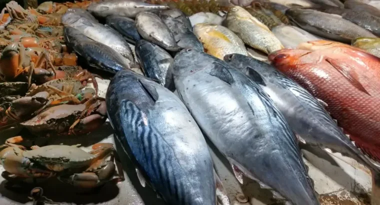 Find Best Fish In Reasonable Price